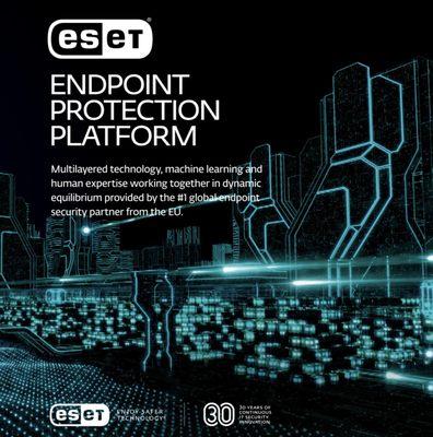 We are a proud partner of ESET. Their advanced enterprise cybersecurity solutions keep our clients safe.