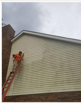 Siding cleaning