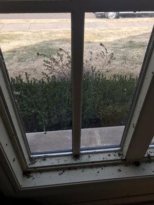 Garage window before cleaning