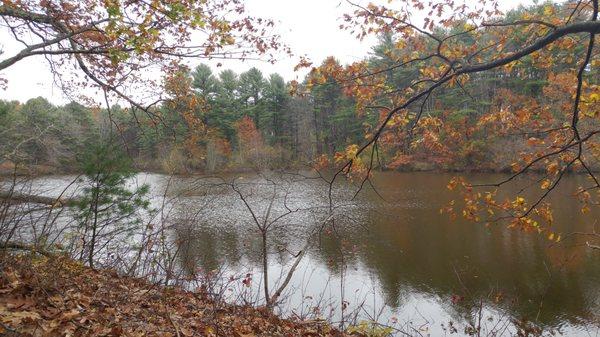 Spear Farm Estuary Preserve from autumn of '17.