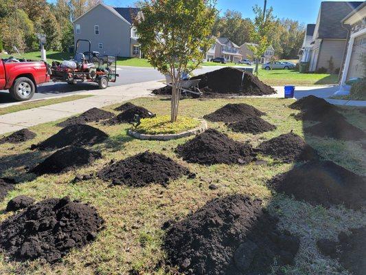 Preparing top soil for over-seeding and fertilizing