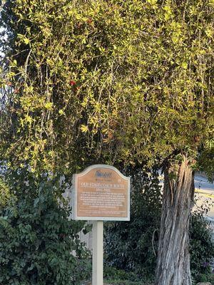 One of several historic markers along the route