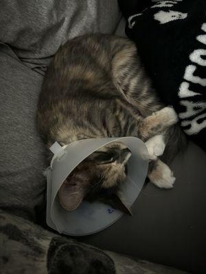 sleepyhead after her procedure