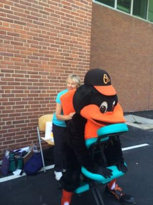 Even the Baltimore O's bird "kneads" a little relaxation!