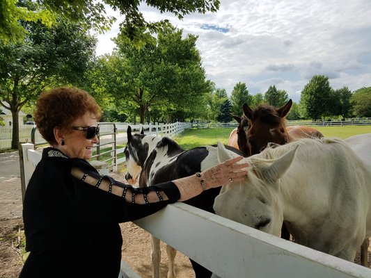 My gram got to pet the horses