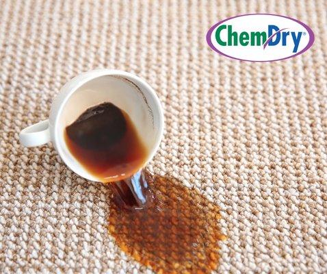 Chem-Dry professional technicians can remove most any stain. Armed with an arsenal of the industry's finest stain-removal pro...