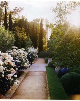 Rose Garden by Down To Earth Landscapes, Inc. - Montecito, Ca.