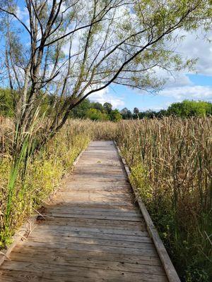 Kinnikinnick Fen Nature Preserve