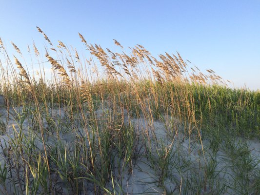 Beautiful dunes