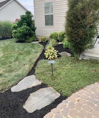 Side yard renewal