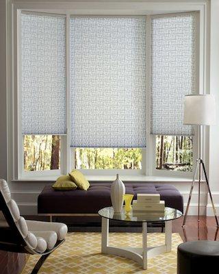 Hunter Douglas Pleated Shades