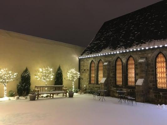 Christmas lights in the garden.