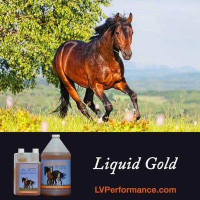 Horse Supplements, Probiotics for Horses, Horse Vitmains, Horse Joint Supplements, Horse calming supplements