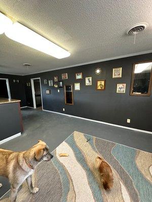 Lobby and intake area.