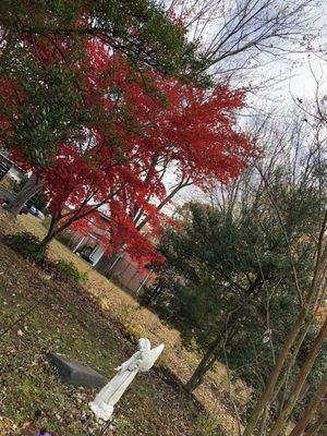 Memorial garden at St. Luke's