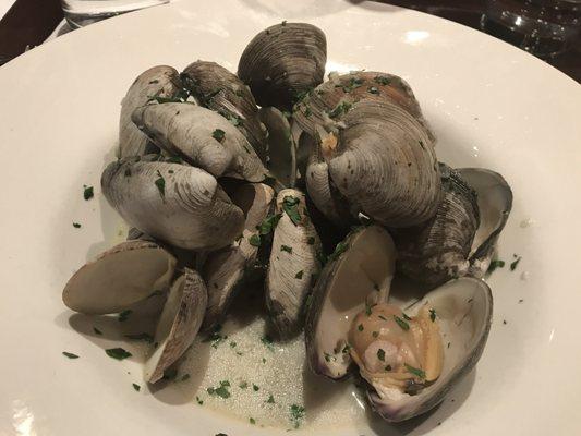 Steamed Clams, a a special