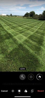 Fresh Cut Lawn Services