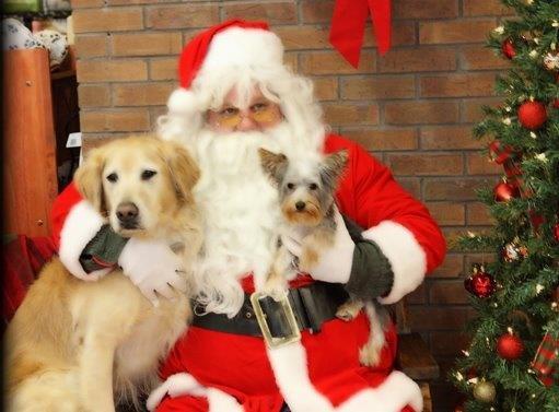 We do pictures with Santa stop in on November 26th or December 10th from 11-3pm to get your pups photo with Santa