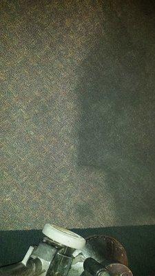 Carpet Cleaning