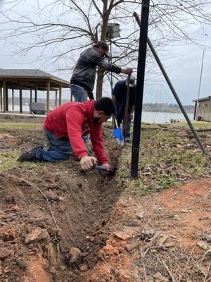 New drain, sprinkler and sod installation