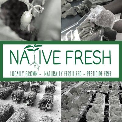 Native Fresh