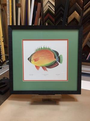 Fish.. Custom framed to bring out colors.