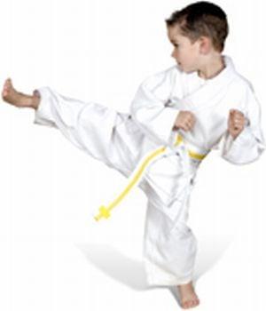 Victory Martial Arts Naperville