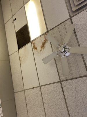 Ceiling falling apart