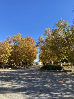 Entryway to Brander Wineries