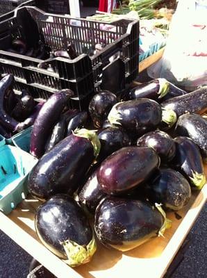 Eggplant at One Straw Farm