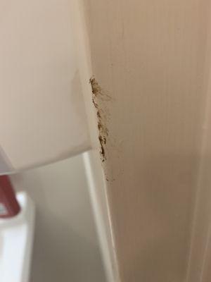 Poop smeared on the wall on the first day moved into room at Chateau Living Center, Kenner, Louisiana.