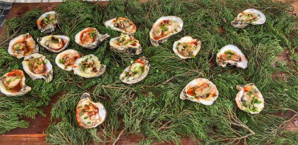 Roasted oysters. Hot Luck Festival