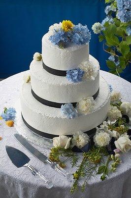 Wedding Cakes by Shadonna