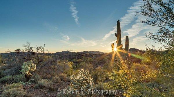 Beautiful Sonoran Desert surrounds our community, bringing a wealth of activities to enjoy.