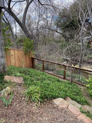 Our yard backs onto a beautiful creek so we wanted to maintain visibility.