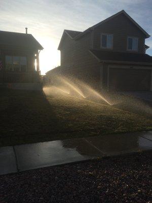 Full service sprinkler company