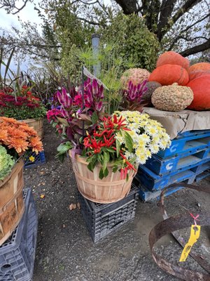 Autumn baskets