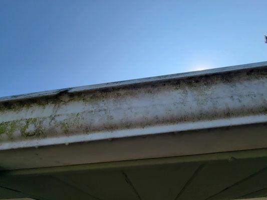 Cleaning the Face of the gutters in Edmonds WA.