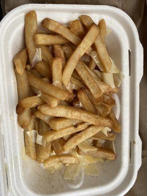 Garlic Parmesan Fries