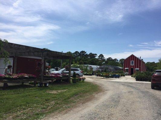 Sunnyside Garden Center