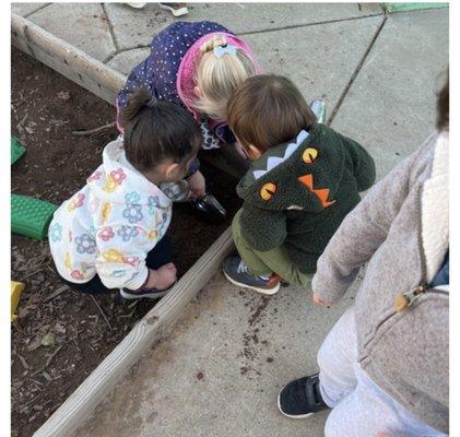 Investigating worms!