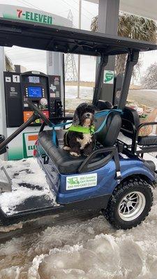 Our furry friends love to cruise too