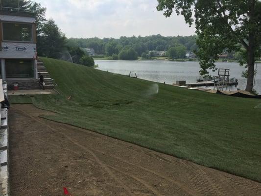 Weston Job, new sod being installed