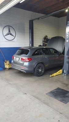 Glc amg