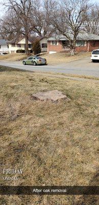 After Oak Removal. West Omaha Tree Service in Omaha, NE. 2022