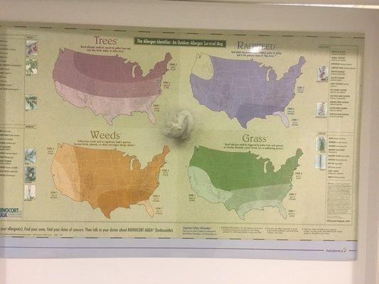 The Allergen Identifier: An Outdoor Allergen Survival Map!