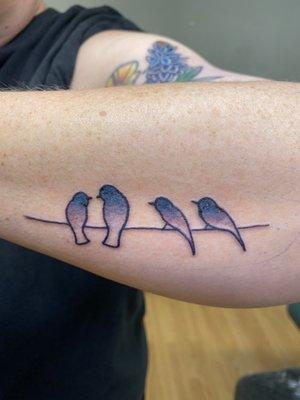 Birds tattoo