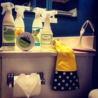 Green cleaners and origami toilet paper.... what more could you want?!