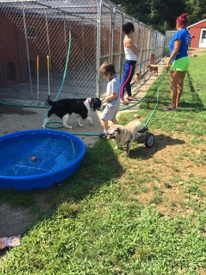 Everyone loves the play yard!