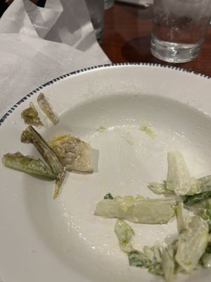 I was so hungry but wouldn't eat the wilted lettuce!